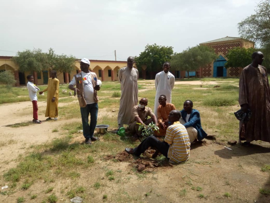 Tchad : des plants de Mourraye mis en terre au lycée franco-arabe d'Abéché Tchad : des plants de Mourraye mis en terre au lycée franco-arabe d'Abéché
