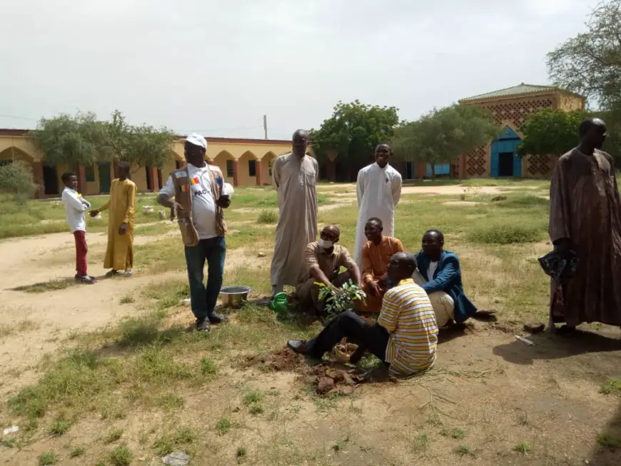 Tchad : des plants de Mourraye mis en terre au lycée franco-arabe d'Abéché