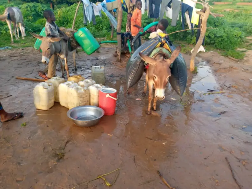 Tchad : l'accès à l'eau potable préoccupe la population de Goz Beida
