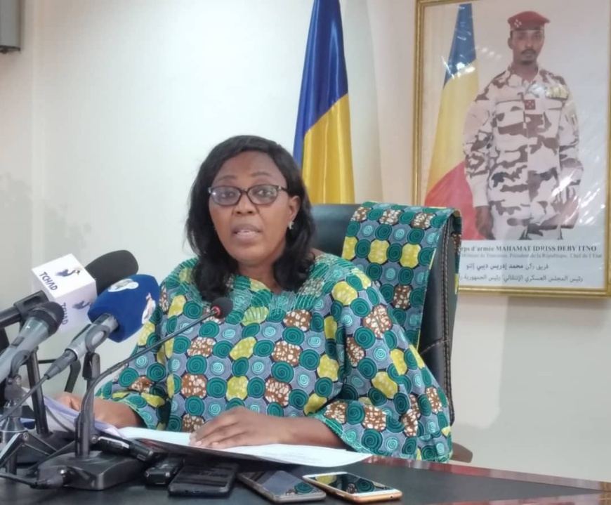 Journée africaine de la médecine traditionnelle : le Tchad encourage la recherche Journée africaine de la médecine traditionnelle : le Tchad encourage la recherche