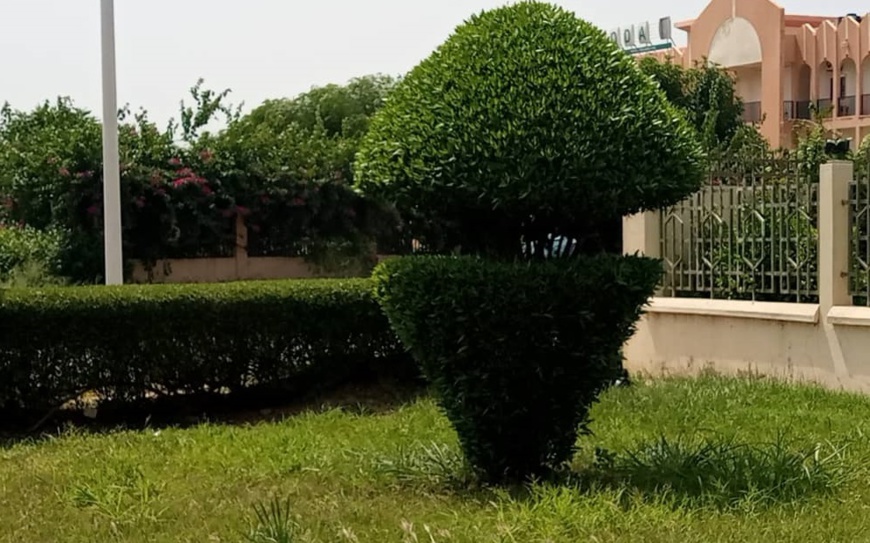 Tchad : fleuriste, un métier qui nourrit bien son homme Tchad : fleuriste, un métier qui nourrit bien son homme