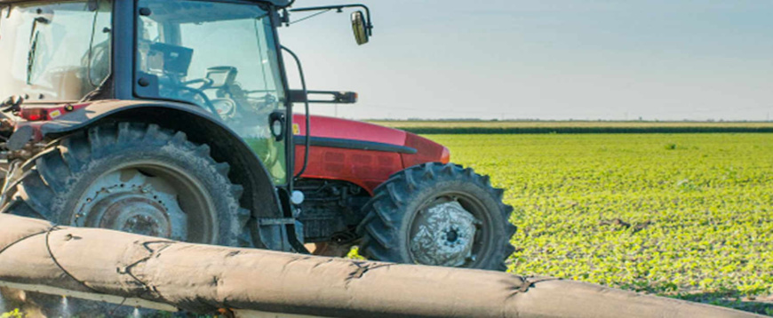 Nigeria : 520 millions de dollars pour les zones de transformation agro-industrielle spéciales Nigeria : 520 millions de dollars pour les zones de transformation agro-industrielle spéciales