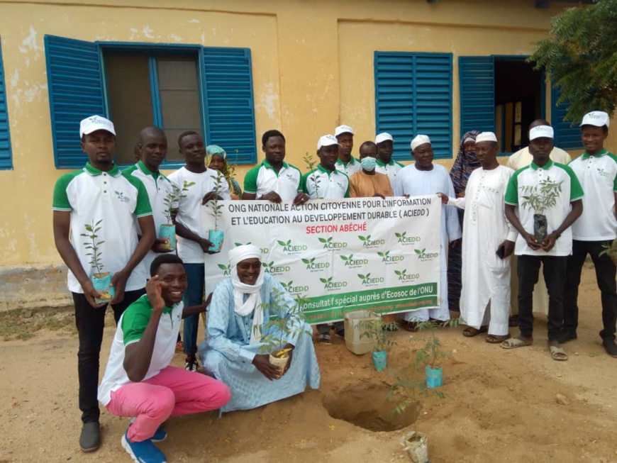 Tchad : un projet de mise en terre de 1000 plants à Abéché Tchad : un projet de mise en terre de 1000 plants à Abéché