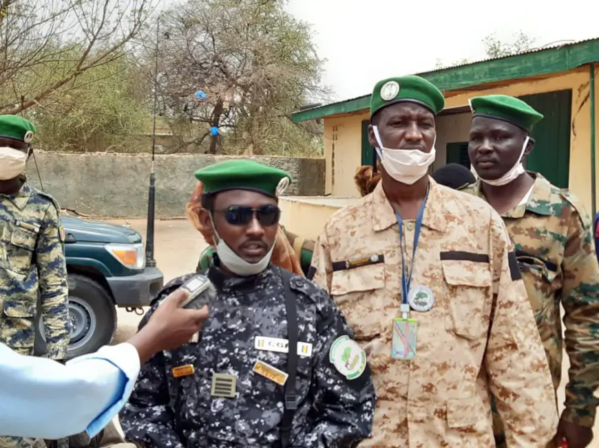 Tchad : la garde forestière promet la fermeté face à la coupe de bois au Ouaddaï