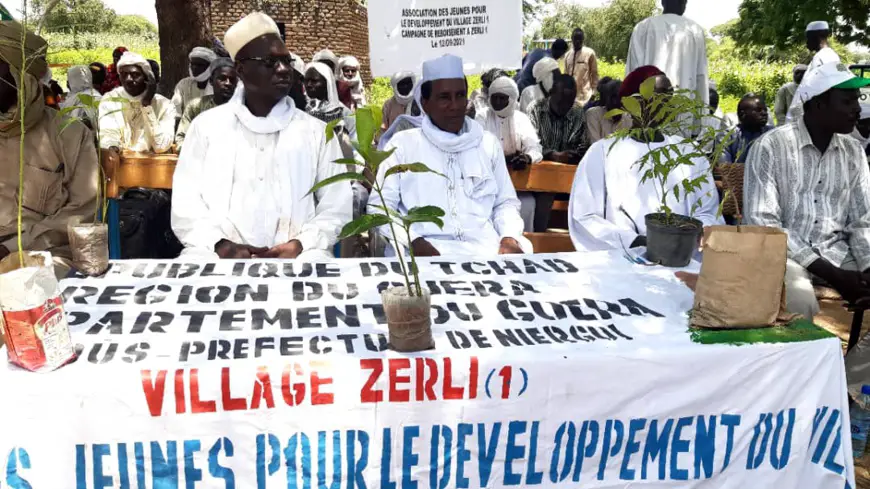 Tchad : des jeunes reboisent le village Zerli 1 au Guera