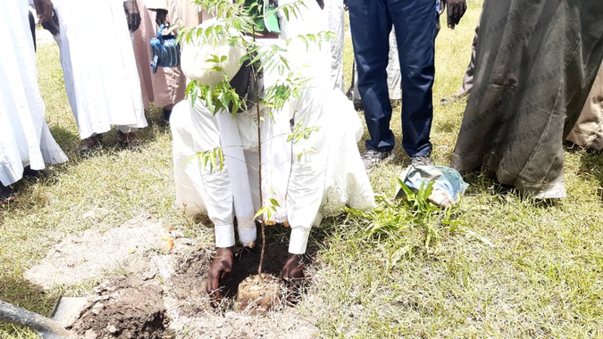 Tchad : des jeunes reboisent le village Zerli 1 au Guera Tchad : des jeunes reboisent le village Zerli 1 au Guera