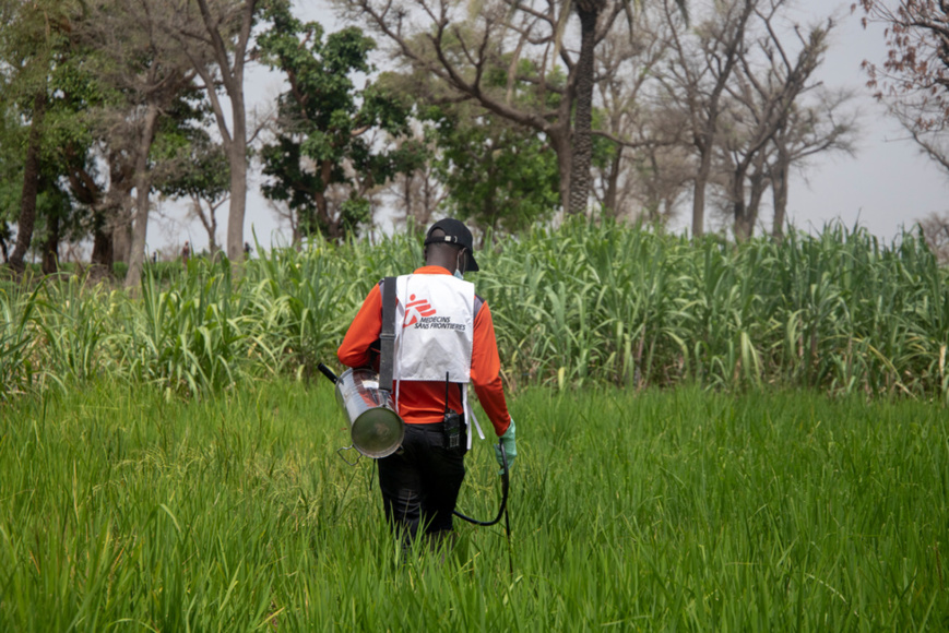 Niger : A Magaria, prévenir le paludisme en traitant l’eau dans les communautés