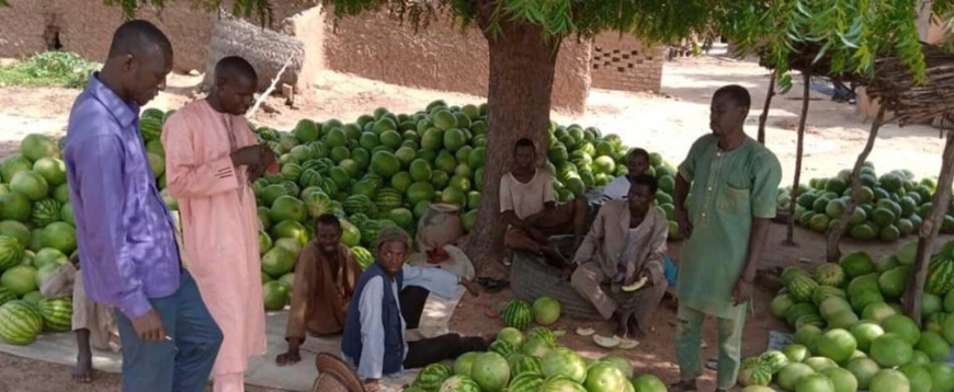 Niger : les jeunes fixés sur les investissements agricoles de l’État Niger : les jeunes fixés sur les investissements agricoles de l’État