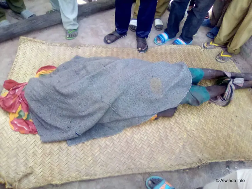 Tchad : un bouvier poignarde à mort un paysan pour une canne à sucre au Mandoul