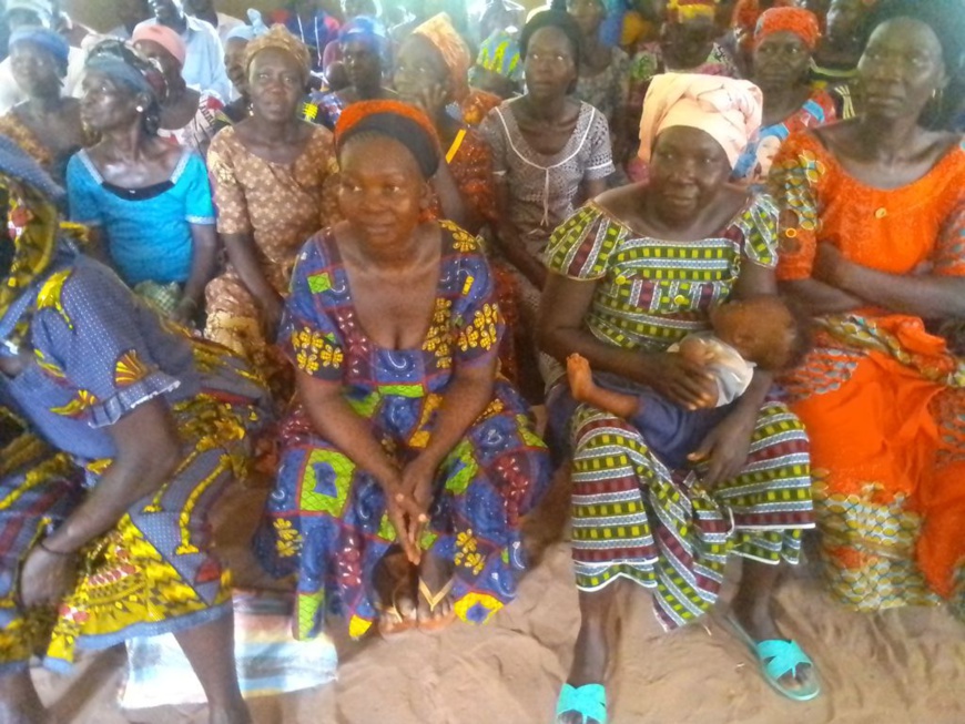 Tchad : l'ANADER forme les groupements féminins en culture maraîchère à Bébédjia Tchad : l'ANADER forme les groupements féminins en culture maraîchère à Bébédjia