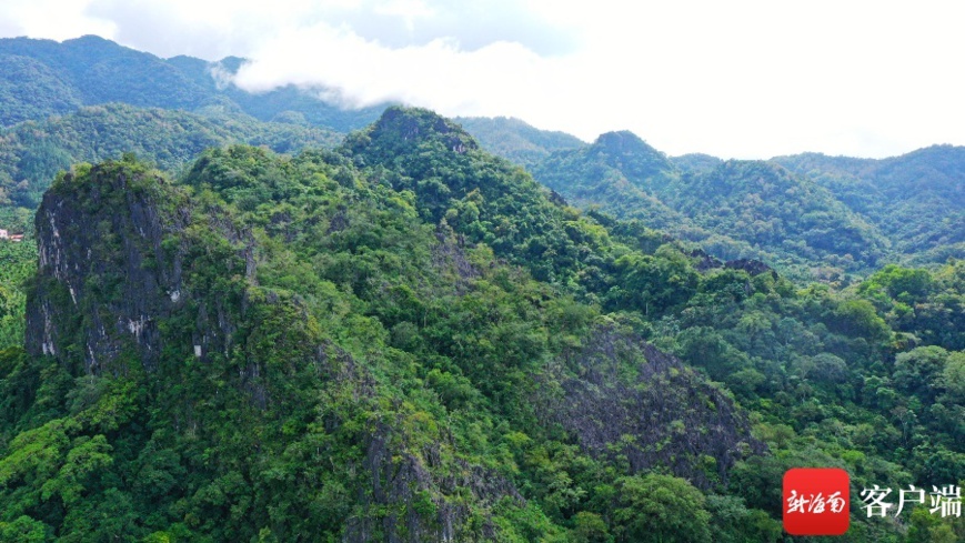 Photo taken on Sept. 28, 2021 shows Xian’an stone forest in Maorui district of the Hainan Tropical Rainforest National Park, south China’s Hainan province. (Photo by Wang Chengxian) Photo taken on Sept. 28, 2021 shows Xian’an stone forest in Maorui district of the Hainan Tropical Rainforest National Park, south China’s Hainan province. (Photo by Wang Chengxian)