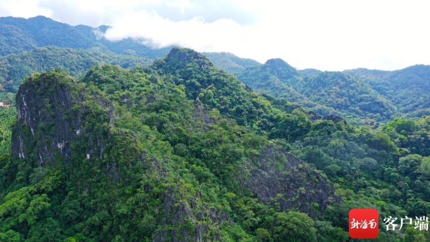 Photo taken on Sept. 28, 2021 shows Xian’an stone forest in Maorui district of the Hainan Tropical Rainforest National Park, south China’s Hainan province. (Photo by Wang Chengxian)