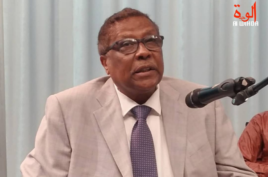 Tchad : la manifestation "n'a finalement pas mobilisé de monde" (ministre Communication) Tchad : la manifestation "n'a finalement pas mobilisé de monde" (ministre Communication)