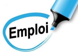 Les tchadiens peuvent désormais trouver un emploi grâce à l'internet Les tchadiens peuvent désormais trouver un emploi grâce à l'internet