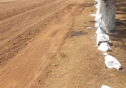 Tchad : plusieurs gendarmes blessés dans un accident de circulation sur l'axe Mongo-Mangalmé