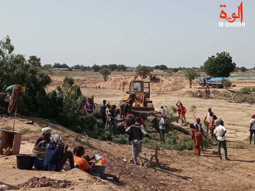 N'Djamena : un déracinement d'arbres entraîne une bagarre pour le bois de chauffe N'Djamena : un déracinement d'arbres entraîne une bagarre pour le bois de chauffe