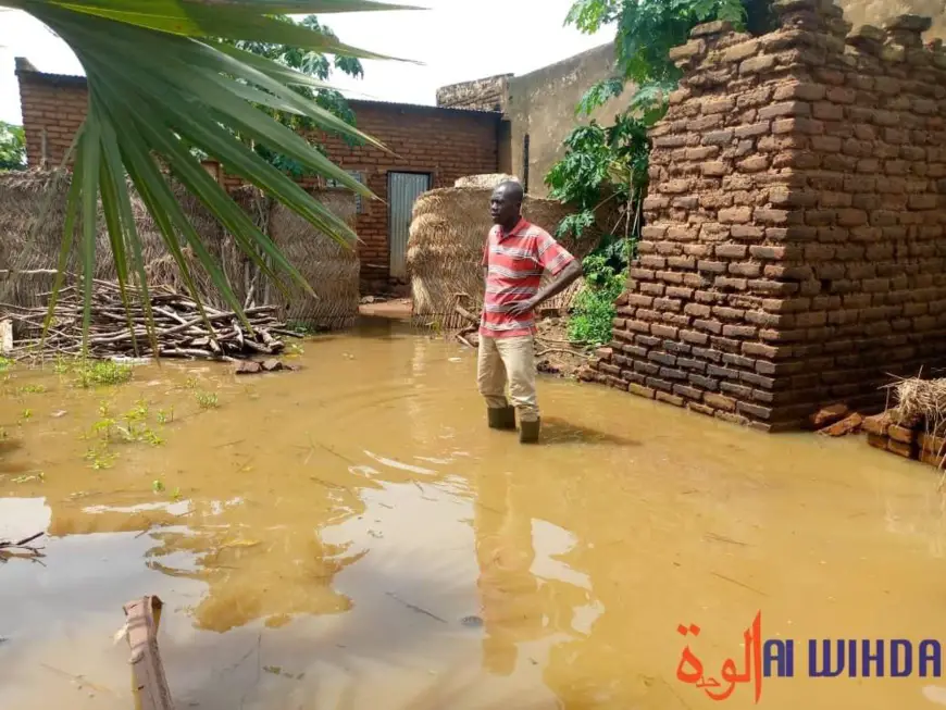Tchad : inondations dans la Tandjilé, l’Allemagne alloue 300 000 euros à l’OIM