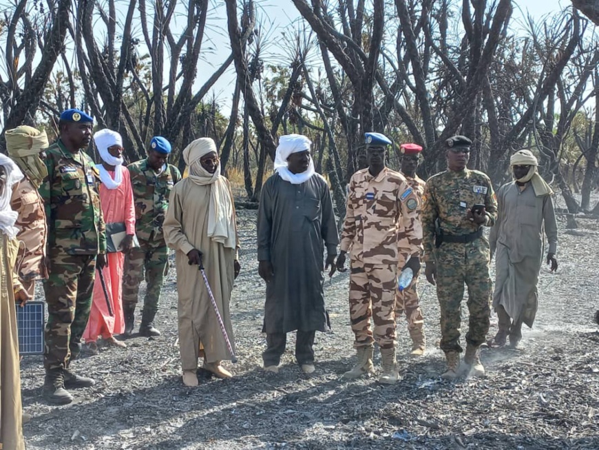 Tchad : une île ravagée par un incendie au Lac Tchad : une île ravagée par un incendie au Lac