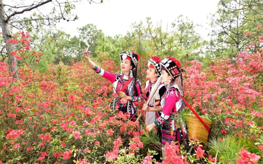 Tourists take photos in a sea of blooming azalea flowers covering an area of more than 66.67 hectares in Xiyi township, Mile city, southwest China’s Yunnan province, March 28, 2021. (Photo by Pu Jiayong/People’s Daily Online)