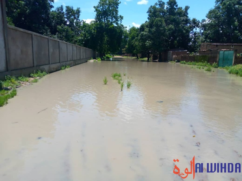 Des inondations dans la Tandjilé en 2021. © Éric Guedi/Alwihda Info