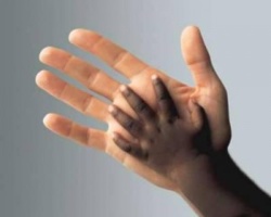 Crédit photo : Sources Crédit photo : Sources