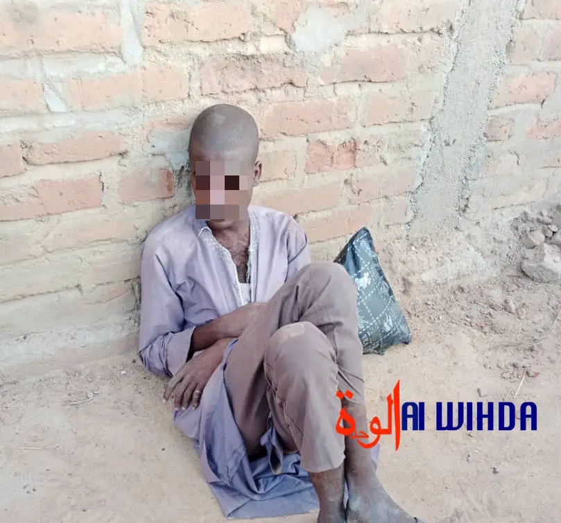 Tchad : père de famille tué par son fils à Bongor, que s'est-il passé ?