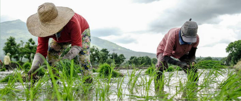 Afrique : des ressources annoncées pour améliorer la gouvernance foncière Afrique : des ressources annoncées pour améliorer la gouvernance foncière
