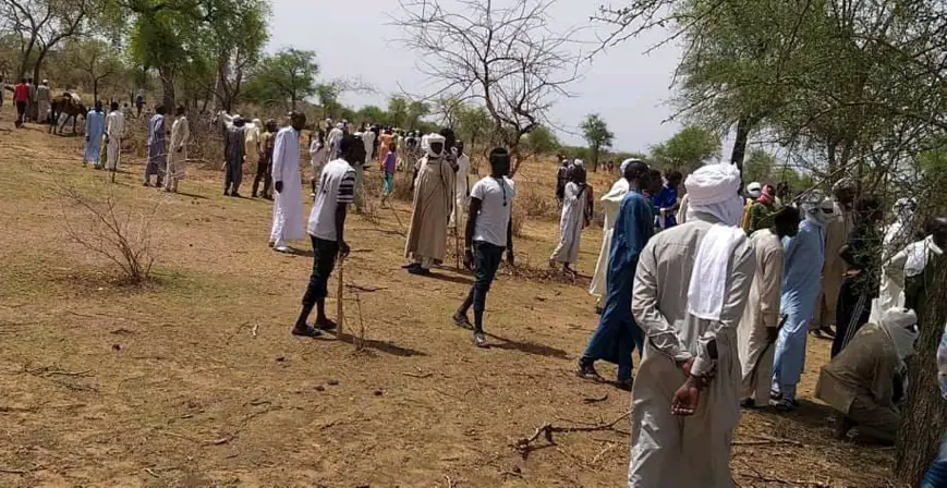 Tchad : il vole un bœuf et tire sur le pied d'un commandant lancé à sa poursuite