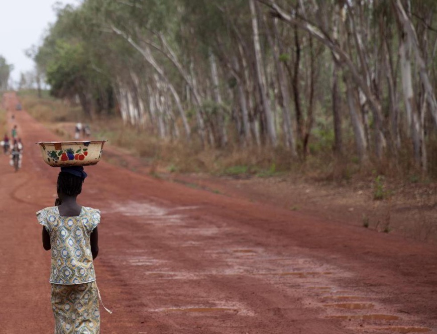 Illustration © Pierre Terdjman / AFD Illustration © Pierre Terdjman / AFD