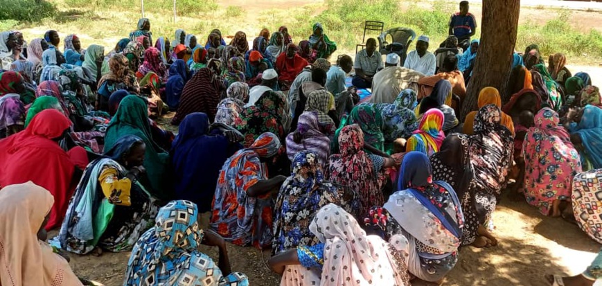 Tchad : le comité provincial de la protection de l'enfant en tournée au Guéra Tchad : le comité provincial de la protection de l'enfant en tournée au Guéra