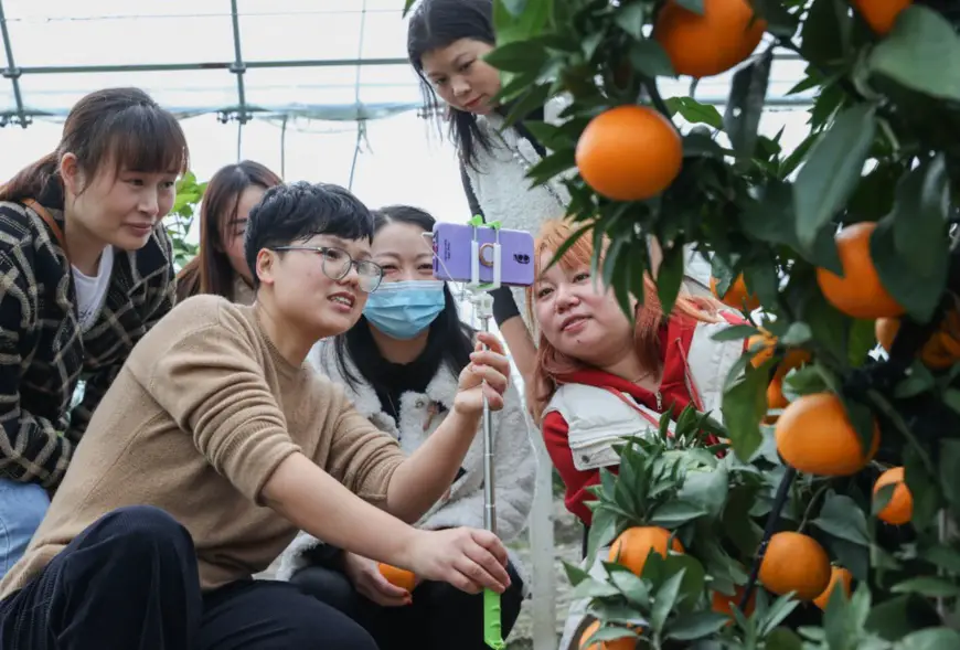 A teacher of a technical school in Deqing county, Huzhou city, east China’s Zhejiang province, gives a lesson to students on photography and livestreaming skills at a fruit planting base, Nov. 21, 2021. (Photo by Yao Haixiang/People’s Daily Online)