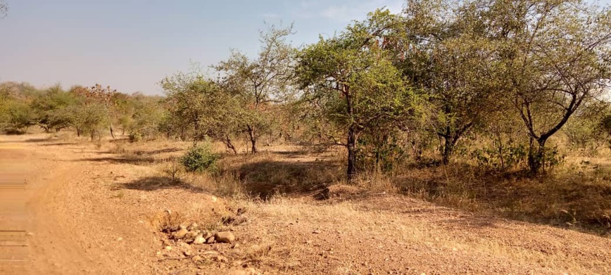 Tchad : 2 millions FCFA pour libérer deux otages au Mayo Kebbi Ouest Tchad : 2 millions FCFA pour libérer deux otages au Mayo Kebbi Ouest