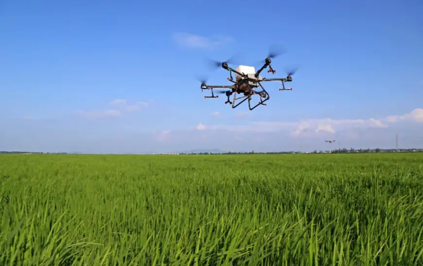 An agricultural drone is applying fertilizer over a paddy field in a farm in Susong county, Anqing, east China's Anhui province, Sept. 8, 2021. (Photo by Li Long/People's Daily Online)