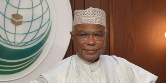 Tchad : l'OCI appelle à une aide humanitaire d’urgence pour les réfugiés
