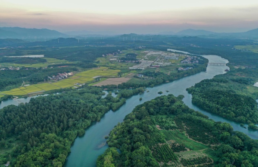 Photo shows luxuriant forests and lucid water at a wetland in Xianglinpu township, Daoxian county, Yongzhou city, central China’s Hunan province, July 12, 2021. (Photo by Jiang Keqing/People’s Daily Online)