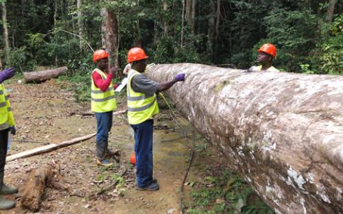 COMIFAC : Une dimension régionale pour la gestion durable des forêts du bassin du Congo COMIFAC : Une dimension régionale pour la gestion durable des forêts du bassin du Congo