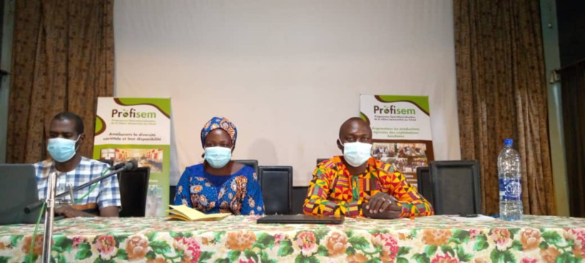 Tchad : des réflexions pour augmenter les productions agricoles vivrières au Mayo Kebbi Ouest Tchad : des réflexions pour augmenter les productions agricoles vivrières au Mayo Kebbi Ouest