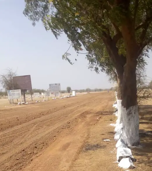 Tchad : il débarque avec une arme dans un lycée de Mongo pour liquider un élève