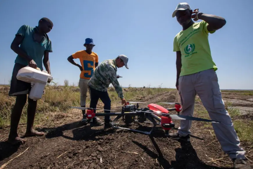 Photo taken in November 2019 shows a Chinese agricultural expert (second from right) teaching local workers in Mozambique how to spray herbicide in fields with unmanned aerial vehicle at the China-Africa Xai-Xai Agricultural Cooperation Project in Xai-Xai city of Mozambique’s Gaza province. (Photo/www.crnews.net)