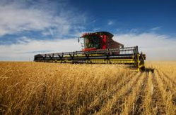 Réformer les politiques du secteur agroalimentaire en Afrique