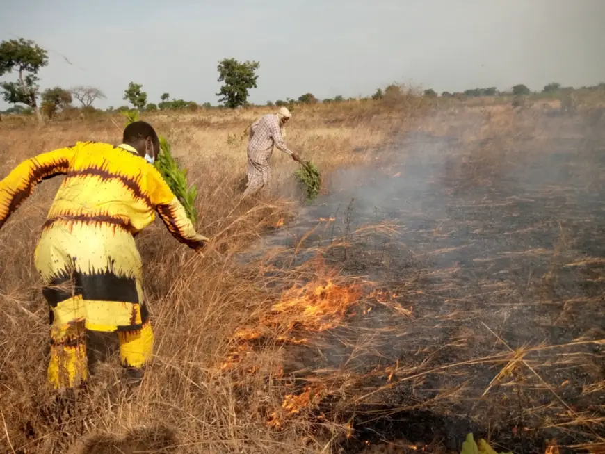 Tchad : dans les villages, la lutte contre les feux de brousse se heurte aux mauvaises habitudes