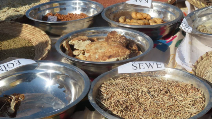 Tchad : à la découverte des traditions du Tibesti au Festival Dary Tchad : à la découverte des traditions du Tibesti au Festival Dary