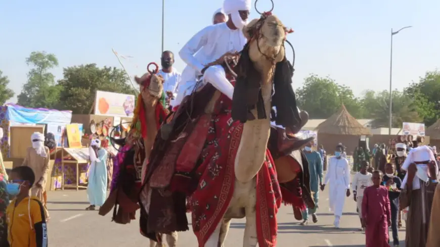 Tchad : à la découverte des traditions du Tibesti au Festival Dary