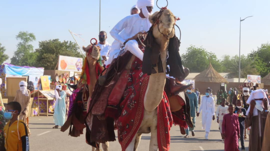 Tchad : à la découverte des traditions du Tibesti au Festival Dary