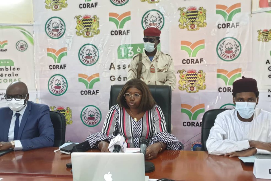 Développement agricole : le CORAF tiendra son assemblée à N'Djamena Développement agricole : le CORAF tiendra son assemblée à N'Djamena