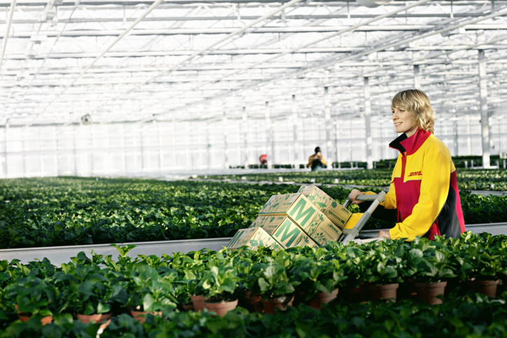 Le secteur de l'agroalimentaire est sur le point d'exploser en Afrique, affirme DHL Le secteur de l'agroalimentaire est sur le point d'exploser en Afrique, affirme DHL