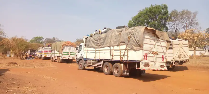 Tchad : interdiction d'exportation de certains produits vivriers à Pala