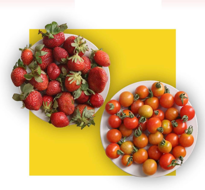 Tchad : le PCMT reçoit un généreux cadeau de Saleh Kebzabo Tchad : le PCMT reçoit un généreux cadeau de Saleh Kebzabo