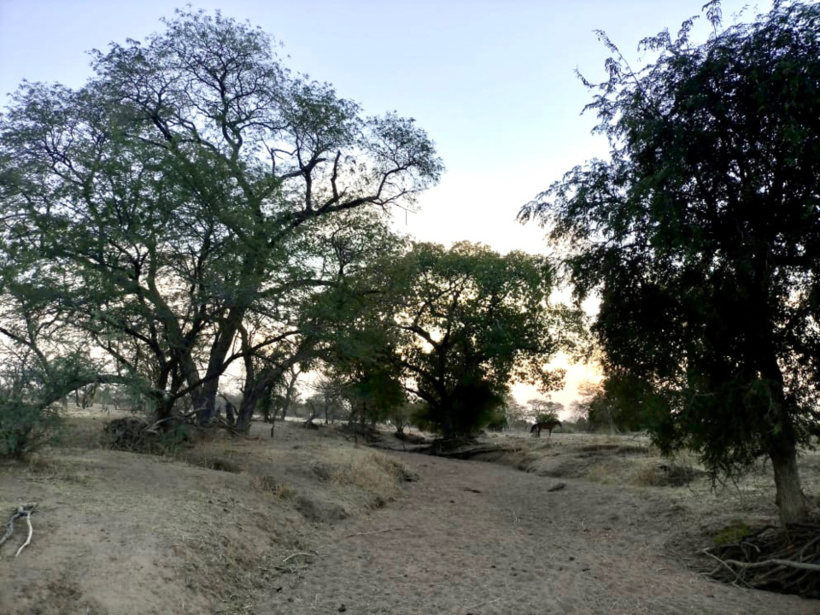 Tchad : un homme tué pour du matériel d'orpaillage au Sila Tchad : un homme tué pour du matériel d'orpaillage au Sila