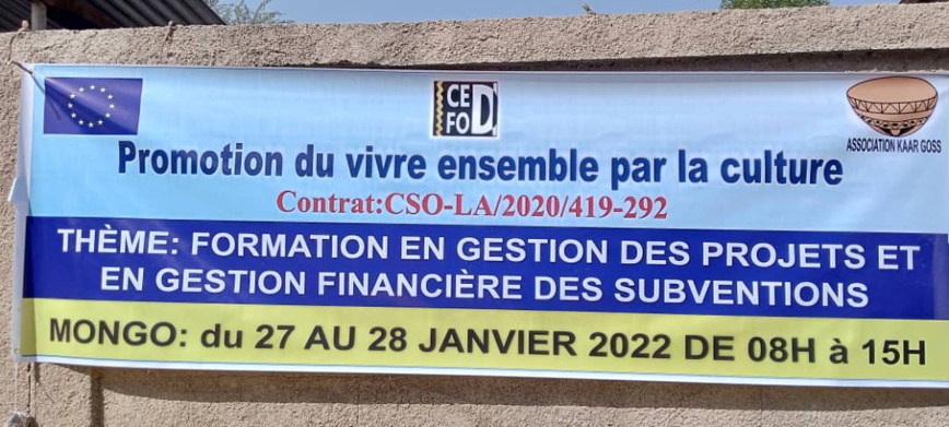 Tchad : un atelier sur le vivre ensemble et la culture à Mongo Tchad : un atelier sur le vivre ensemble et la culture à Mongo